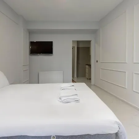 Cozy & Comfy Studio At Beyoglu - 65 公寓 伊斯坦布尔